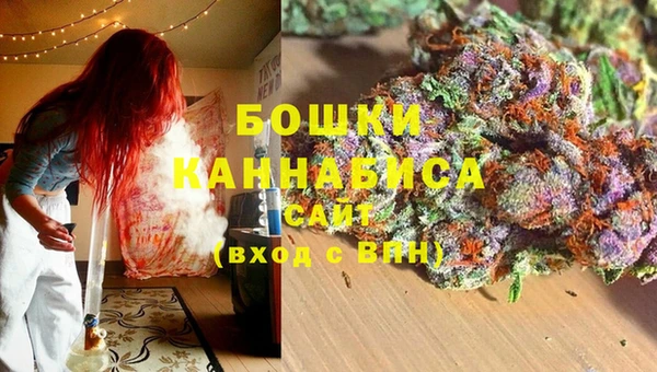 ГАЛЛЮЦИНОГЕННЫЕ ГРИБЫ Балахна