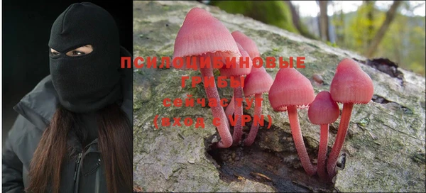 ГАЛЛЮЦИНОГЕННЫЕ ГРИБЫ Балахна