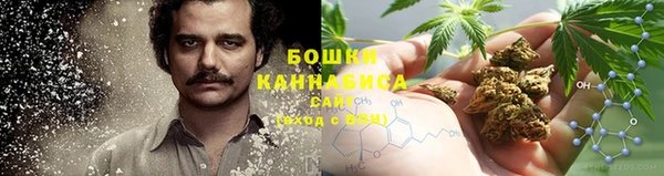 ГАЛЛЮЦИНОГЕННЫЕ ГРИБЫ Балахна