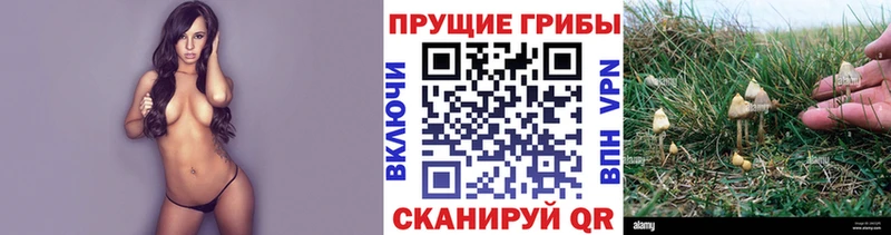 Галлюциногенные грибы прущие грибы  где купить наркотик  Демидов 